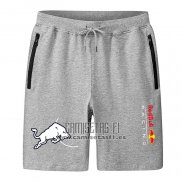 Pantalones Red Bull Racing F1 Gris